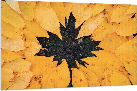 Vlag - Bladeren - Herfst - Canada - Gras - 150x100 cm Foto op Polyester Vlag