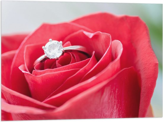 Vlag - Bloem - Roos - Ring - Diamant - Rood - 80x60 cm Foto op Polyester Vlag
