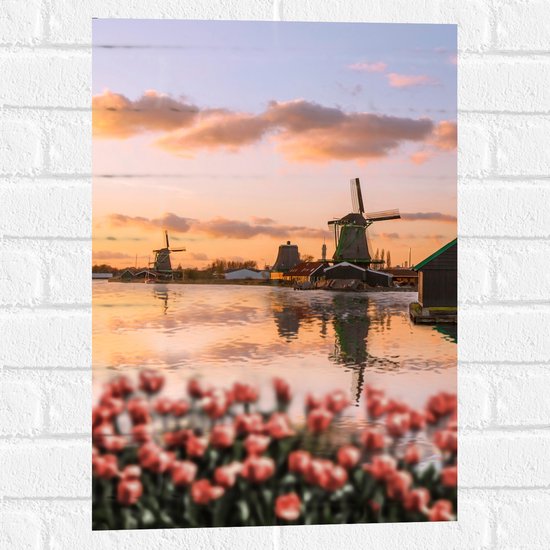 Muursticker - Rij Tulpen aan het Water voor Molens in Nederland - 40x60 cm Foto op Muursticker
