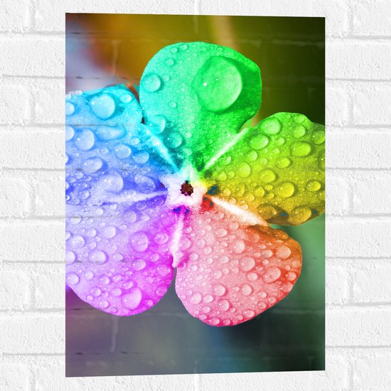Muursticker - Bloem - Druppels - Regenboog - Kleuren - 40x60 cm Foto op Muursticker