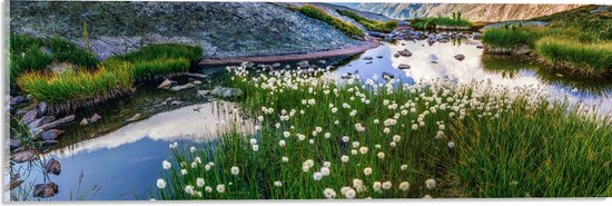 Acrylglas - Bergen - Water - Planten - Bloemen - Wolken - 60x20 cm Foto op Acrylglas (Wanddecoratie op Acrylaat)