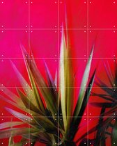 IXXI Magenta and Green - Wanddecoratie - Fotografie - 80 x 100 cm