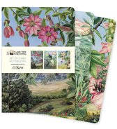 Midi Notebook Collections- Kew Gardens: Marianne North Set of 3 Midi Notebooks