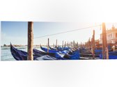 PVC Schuimplaat- Blauwe Gondels op de Zee bij Venetië op Zonnige Dag - 120x40 cm Foto op PVC Schuimplaat