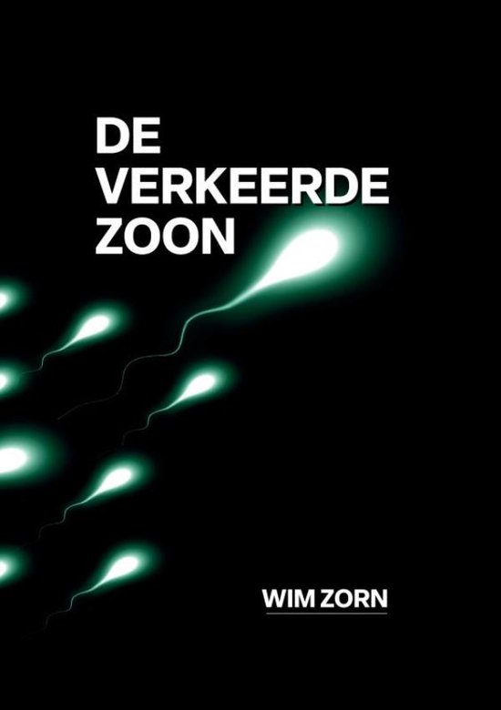 DE VERKEERDE ZOON - cover