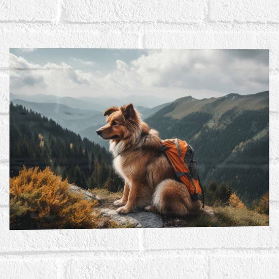 Muursticker - Reizende Hond met Rugzak op Top van de Berg - 40x30 cm Foto op Muursticker