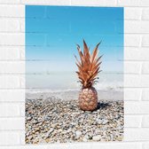 Muursticker - Zee - Eten - Annanas - Stenen - Water - 50x75 cm Foto op Muursticker