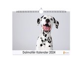Huurdies - Dalmatiërs Kalender - Jaarkalender 2024 - 35x24 - 300gms
