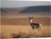 Acrylglas - Gazelle in open gebied met hoog gras en bergen op de achtergrond - 100x75 cm Foto op Acrylglas (Met Ophangsysteem)