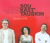 Benjamin Taubkin & Simone Sou & Guilherme Kastrup - Sounds Of Life (CD)
