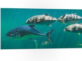 PVC Schuimplaat- Groep vissen zwemmen door de zee heen - 100x50 cm Foto op PVC Schuimplaat