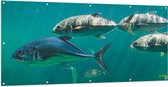 Tuinposter – Groep vissen zwemmen door de zee heen - 200x100 cm Foto op Tuinposter (wanddecoratie voor buiten en binnen)