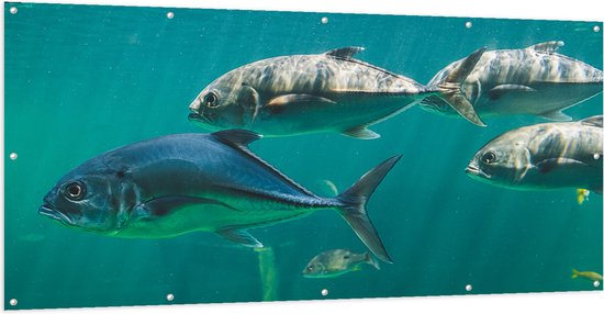 Tuinposter – Groep vissen zwemmen door de zee heen - 200x100 cm Foto op Tuinposter (wanddecoratie voor buiten en binnen)