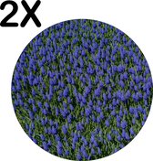 BWK Luxe Ronde Placemat - Blauw Paarse Bloemen - Set van 2 Placemats - 40x40 cm - 2 mm dik Vinyl - Anti Slip - Afneembaar