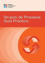 Process Groups (Spanish Edition)