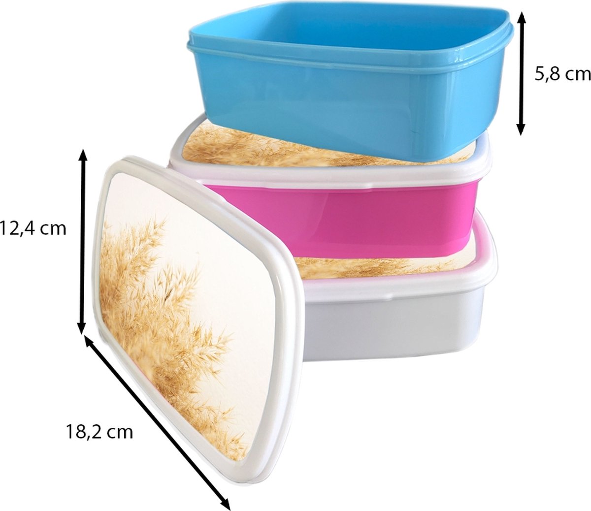 Broodtrommel Wit - Lunchbox - Brooddoos - Pampasgras - Zon - Gras - 18x12x6 cm - Volwassenen