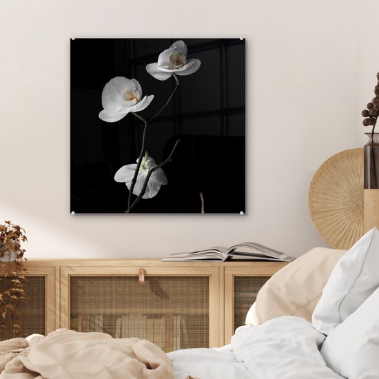 MuchoWow® Peinture sur verre 50x50 cm - Peinture sur verre acrylique - Orchidée - Fleurs - Zwart - Wit - Nature morte - Photo sur verre - Peintures