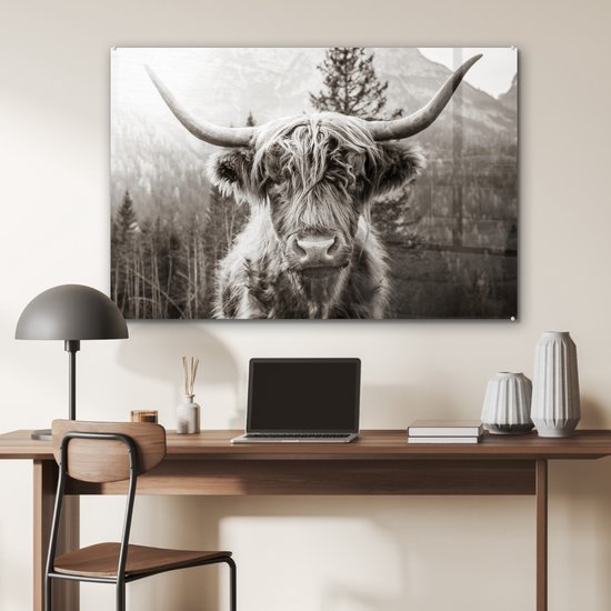 MuchoWow® Peinture sur Verre - Highlander écossais - Vache - Animaux - Zwart - Wit - 90x60 cm - Peintures sur Verre Acrylique - Photo sur Glas
