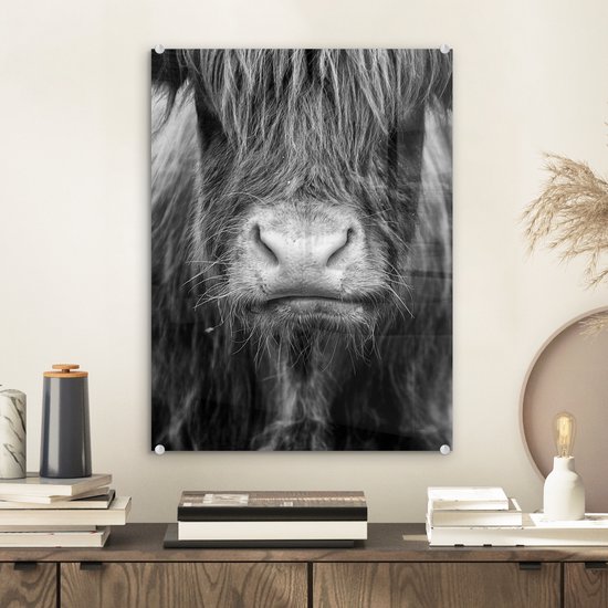 MuchoWow® Tableau sur verre 30x40 cm - Tableau sur verre acrylique - Highlander écossais - Vache - Zwart - Wit - Animaux - Photo sur verre - Décoration murale salon - Décoration murale chambre - Peintures