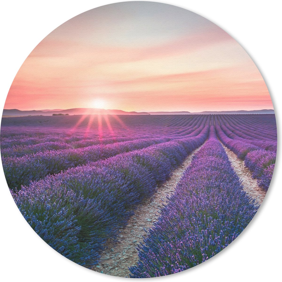 Muismat rond 50x50 cm - Mousepad Lavendel - Paars - Bloemen - Lucht - Ronde muismatten