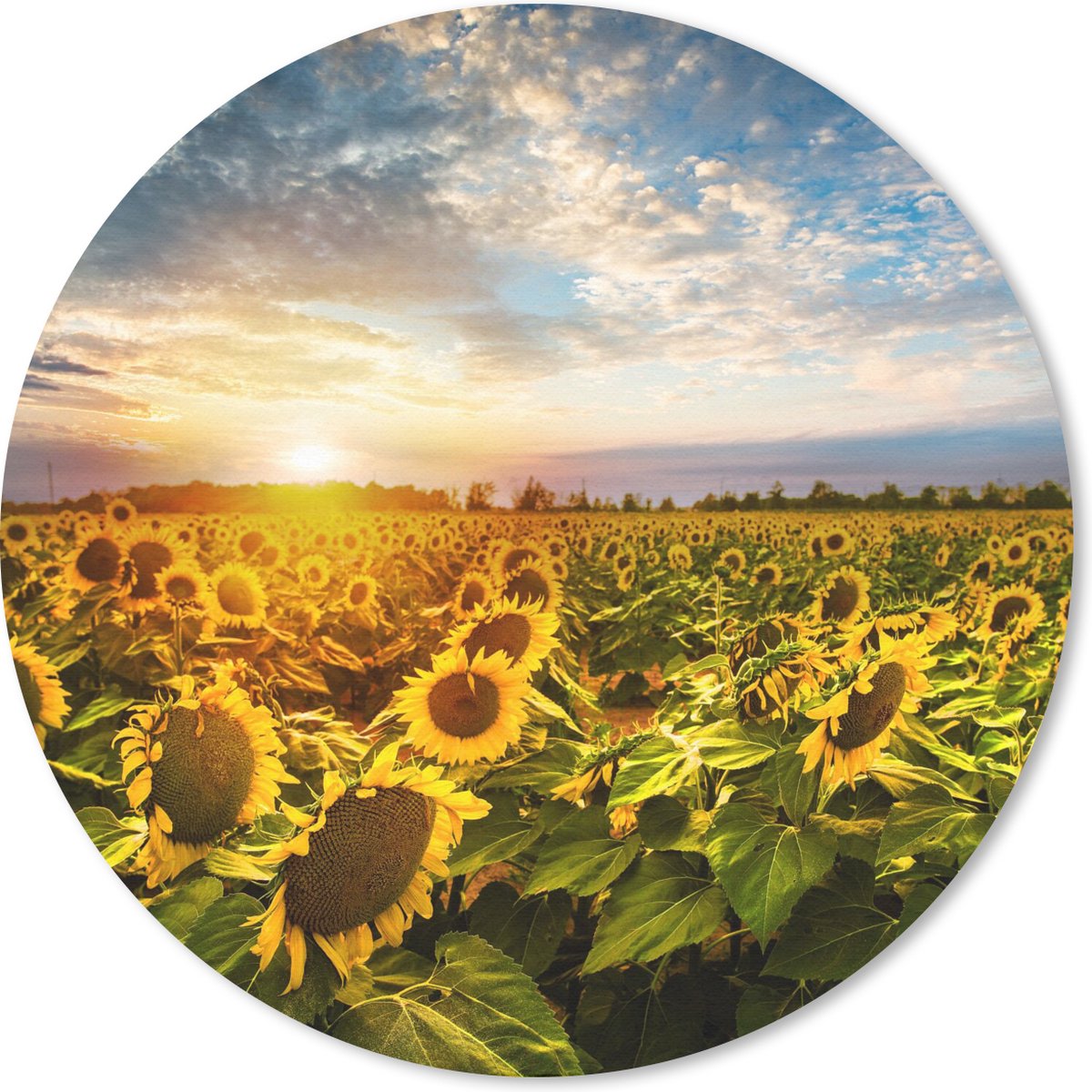 Muismat rond 40x40 cm - Mousepad Bloemen - Zonnebloem - Lucht - Ronde muismatten