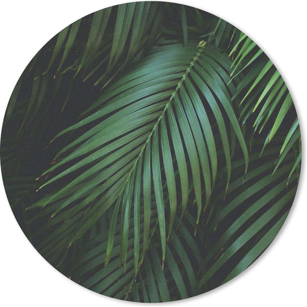 Muismat rond 30x30 cm - Mousepad Palmbladeren - Palmen - Tropical - Ronde muismatten