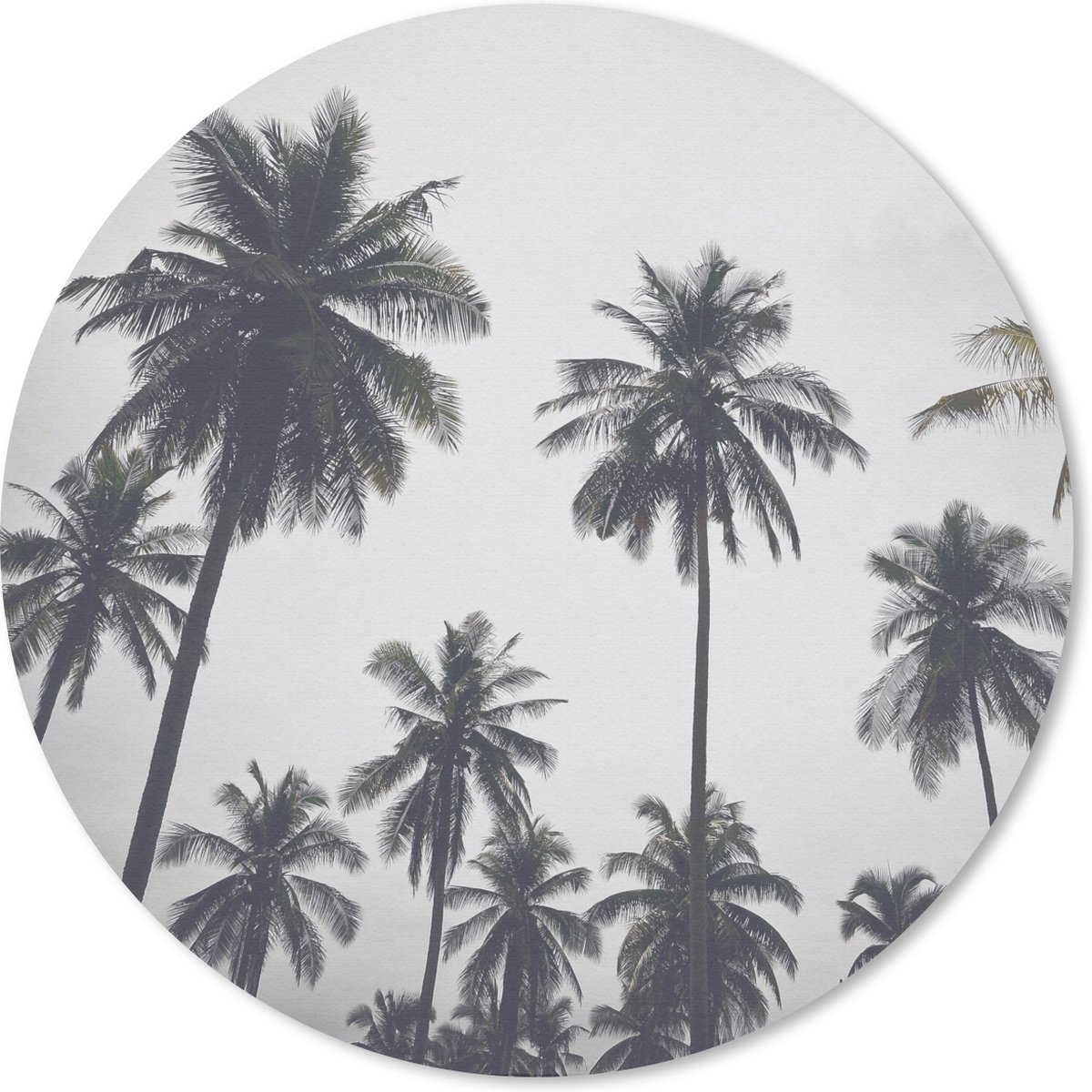 Muismat rond 40x40 cm - Mousepad Palmboom - Tropisch - Natuur - Ronde muismatten