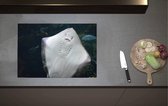 Inductieplaat Beschermer - Onderaanzicht van Rog zwemmend tegen Aquarium - 70x52 cm - 2 mm Dik - Inductie Beschermer van Vinyl