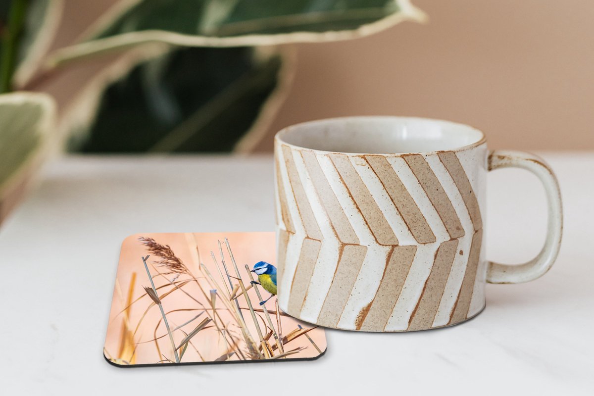 Onderzetters voor glazen - Vogel - Pimpelmees - Riet - 10x10 cm - Glasonderzetters - 6 stuks