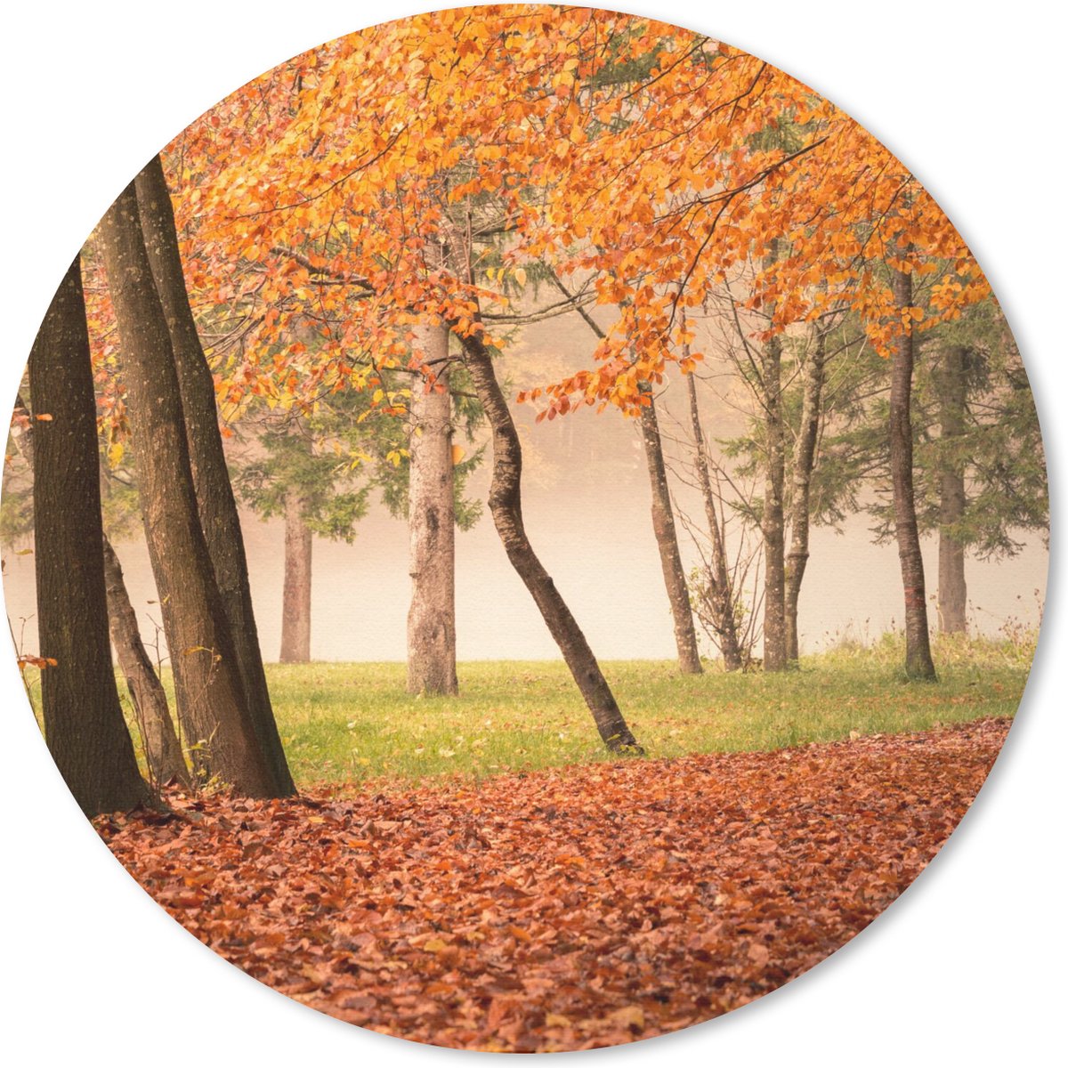 Muismat rond 30x30 cm - Mousepad Bladeren - Herfst - Bos - Ronde muismatten