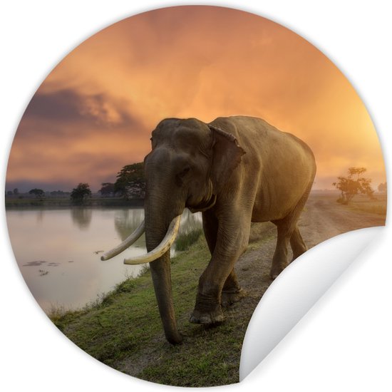 WallCircle - Stickers muraux muraux - Cercle de papier peint - Éléphant - Water - Animaux - Coucher de soleil - Nature - ⌀ 30 cm - Cercle mural - Autocollant - Autocollant de papier peint rond