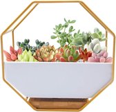 Bloempot muur plantenpot, witte moderne wandvazen, keramiek, decoratie voor vetplanten, cactus, wanddecoratie, balkon, tuindecoratie, goud