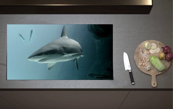 KitchenYeah© Spatscherm Keuken 60x40 cm Kookplaat Achterwand Beschermer Muur Spatwand Fornuis