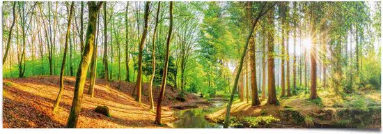 Poster Lentebos 53x158 cm