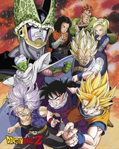 Dragon Ball Z - Poster 40 x 50 cm