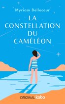 La Constellation du caméléon