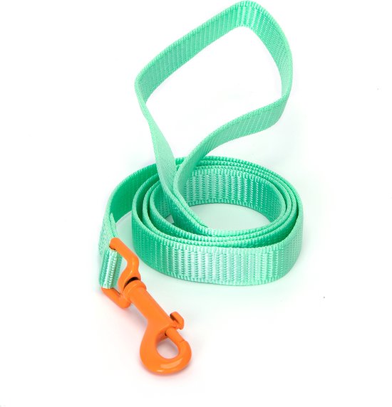 Nobleza Hondenriem - Looplijn hond - Uitlaatriem - Hondenlijn - Leiband hond - Fluorescerend - Nylon - 120 cm - Groen - Maat S