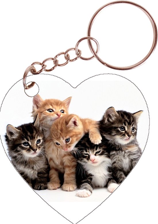 Sleutelhanger hartje 5x5cm - Kittens - Poes
