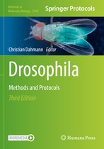 Methods in Molecular Biology- Drosophila