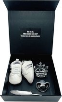 baby sneakerbox hij of zij met speen babyshower gender reveal zwangerschap felicitatie kan ook rechtstreeks als cadeau worden verstuurd