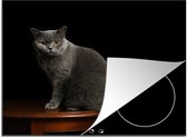 KitchenYeah® Inductie beschermer 60x52 cm - Portret van een Britse korthaar kat - Kookplaataccessoires - Afdekplaat voor kookplaat - Inductiebeschermer - Inductiemat - Inductieplaat mat