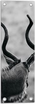 Tuinposter – Achteraanzicht van Antilope (Zwart-wit) - 20x60 cm Foto op Tuinposter (wanddecoratie voor buiten en binnen)
