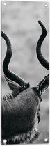 Tuinposter – Achteraanzicht van Antilope (Zwart-wit) - 30x90 cm Foto op Tuinposter (wanddecoratie voor buiten en binnen)