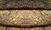 Straw Nature Texture Photo Wallcovering