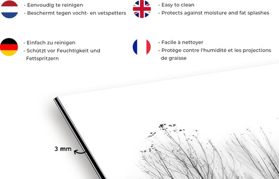 Spatscherm keuken 80x55 cm - Kookplaat achterwand Bomen - Zwart wit - Vogels - Natuur - Muurbeschermer - Spatwand fornuis - Hoogwaardig aluminium
