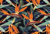 Fotobehang - Vlies Behang - Paradijsvogelbloemen - 254 x 184 cm