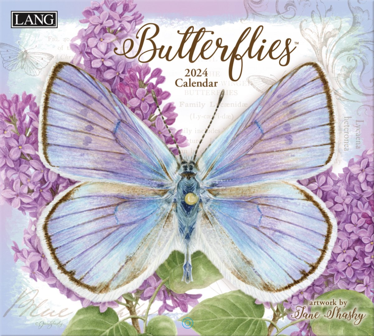 Butterflies Kalender 2024 LANG