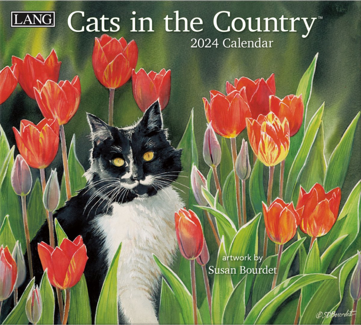 Cats in the Country Kalender 2024 LANG