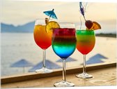 Acrylglas - Kleurrijke Cocktails met Uitzicht op Zee - 100x75 cm Foto op Acrylglas (Wanddecoratie op Acrylaat)