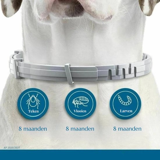 Vlooien en tekenband | Vlooienband | Tekenband | Grote hond | 70 cm | 100% natuurlijk | dier- en mensvriendelijk